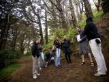 LOTR movie locations in Wellington